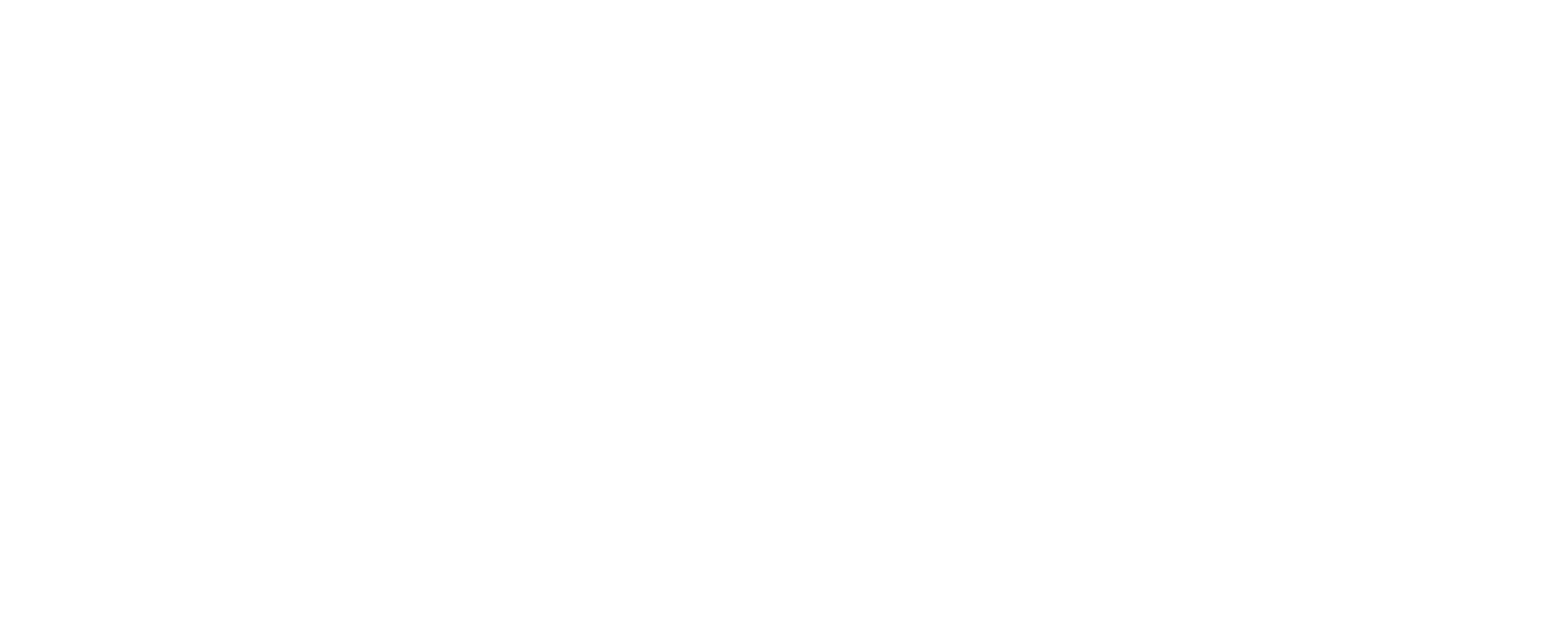 American Memory Loss Foundation logo
